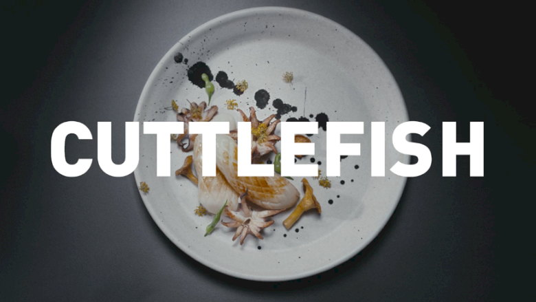 "Cuttlefish"